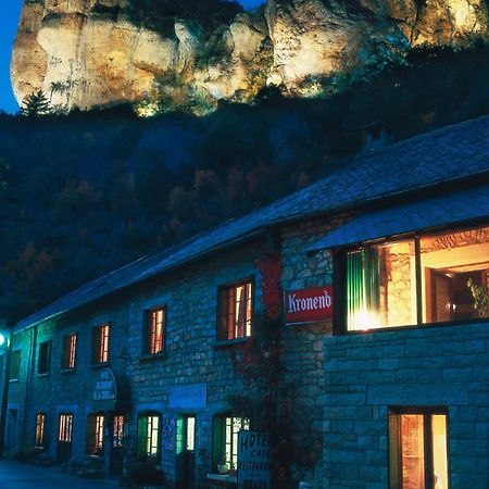 Hotel De La Jonte Meyrueis Eksteriør billede